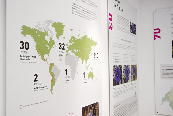 8 FA expo3 web s